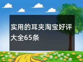 实用的耳夹淘宝好评大全65条