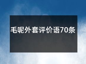 毛呢外套评价语70条