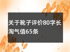 关于靴子评价80字长淘气值65条