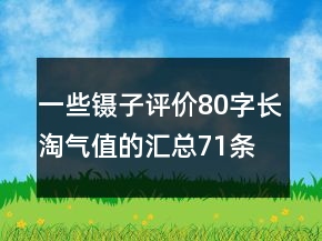 一些镊子评价80字长淘气值的汇总71条