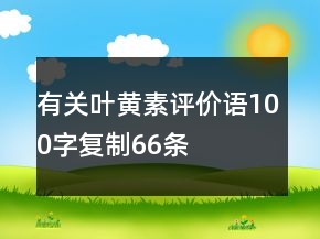 有关叶黄素评价语100字复制66条