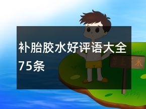 补胎胶水好评语大全75条