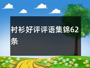 衬衫好评评语集锦62条