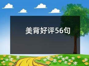 美背好评56句
