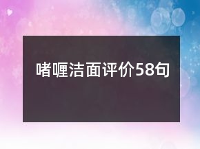 啫喱洁面评价58句