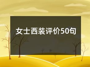 女士西装评价50句