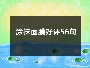 涂抹面膜好评56句