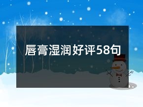 唇膏湿润好评58句