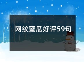 网纹蜜瓜好评59句