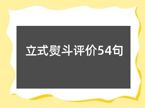 立式熨斗评价54句