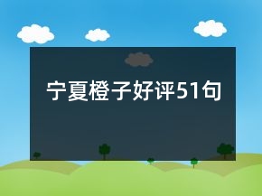 宁夏橙子好评51句
