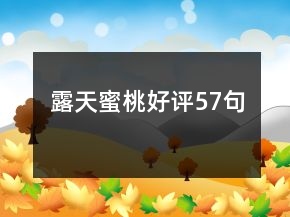 露天蜜桃好评57句
