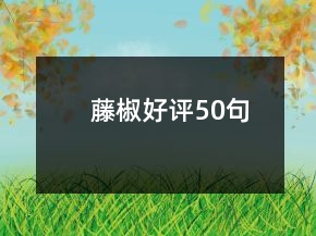 藤椒好评50句