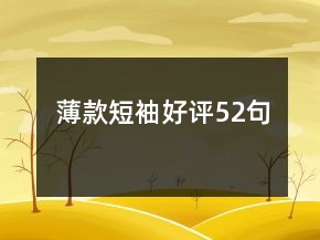 薄款短袖好评52句