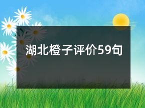 湖北橙子评价59句