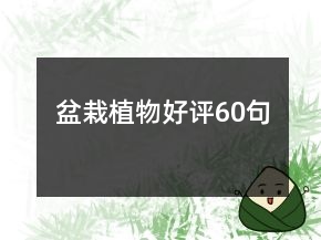 盆栽植物好评60句