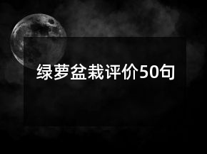 绿萝盆栽评价50句