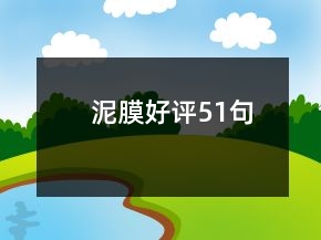 泥膜好评51句