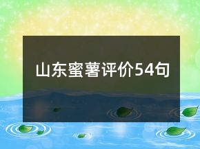山东蜜薯评价54句