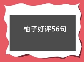 柚子好评56句