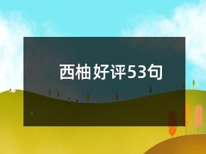 西柚好评53句