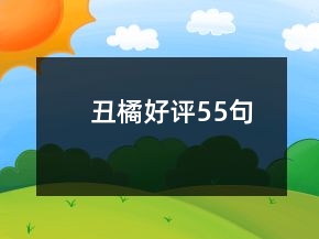 丑橘好评55句