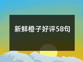 新鲜橙子好评58句