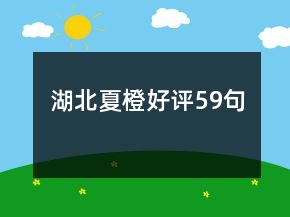 湖北夏橙好评59句