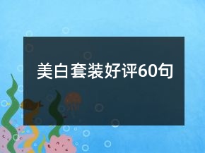 美白套装好评60句