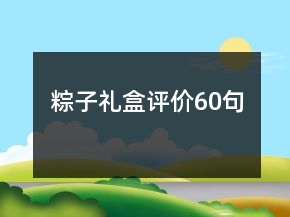 粽子礼盒评价60句