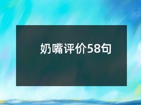 奶嘴评价58句