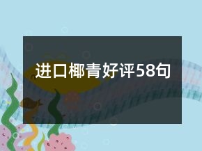 进口椰青好评58句