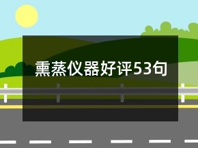 熏蒸仪器好评53句