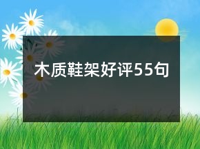 木质鞋架好评55句