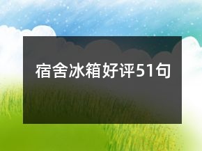 宿舍冰箱好评51句