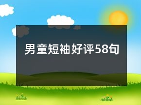男童短袖好评58句