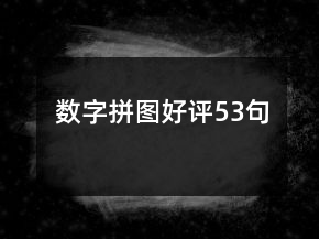 数字拼图好评53句