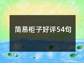 简易柜子好评54句