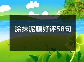涂抹泥膜好评58句