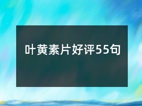 叶黄素片好评55句