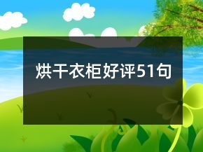 烘干衣柜好评51句