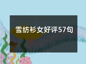 雪纺衫女好评57句