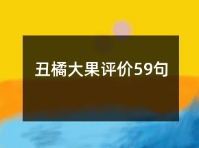 丑橘大果评价59句