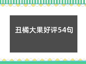 丑橘大果好评54句