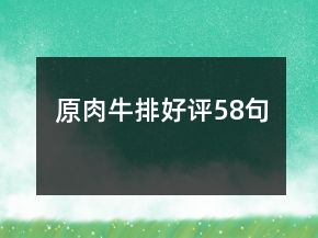 原肉牛排好评58句