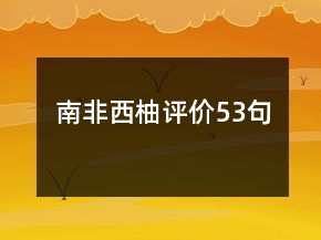 南非西柚评价53句
