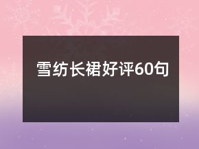 雪纺长裙好评60句