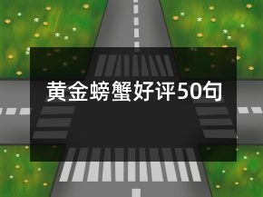 黄金螃蟹好评50句