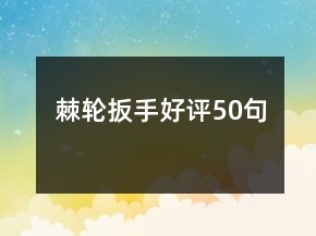 棘轮扳手好评50句