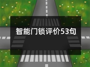 智能门锁评价53句